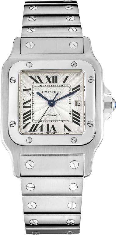 Cartier Santos de Cartier W20055D6