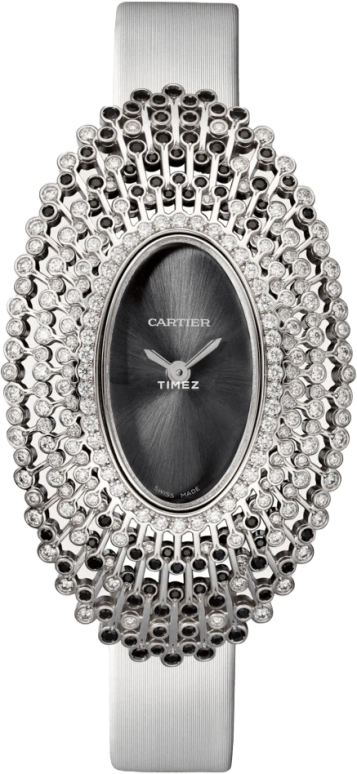 Cartier Baignoire WJLI0006