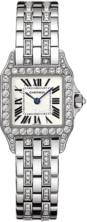 Cartier Santos de Cartier WF9003YC