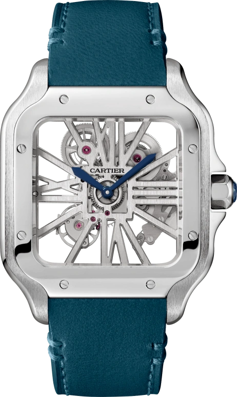 Cartier Santos de Cartier WHSA0021