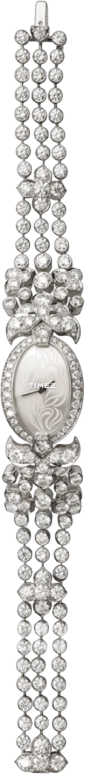 Cartier High Jewelry Watches HPI00434
