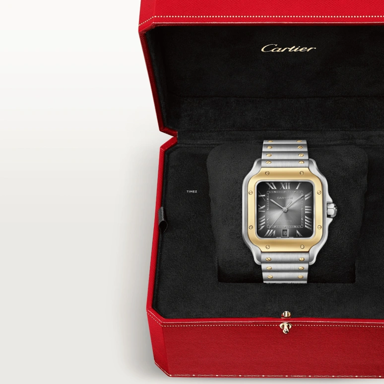 Cartier,Santos de Cartier 39.80mm,39.80mm,Stainless Steel,Smoky Coal,Gradient,Automatic,Day,Sapphire,Crystal Glass,W2SA0030