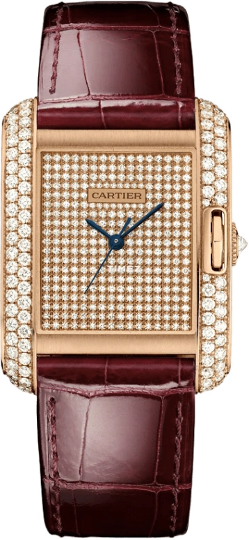 Cartier Tank WT100019