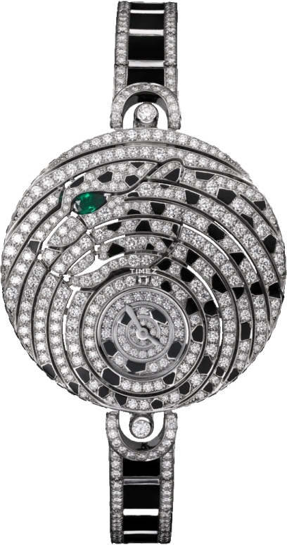 Cartier High Jewelry Watches HPI01056