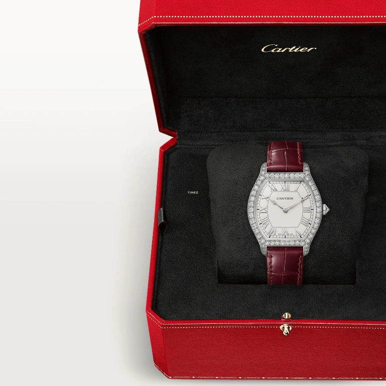 Cartier,Tortue 41.10x32.90mm,41.10x32.90mm,Platinum,Silver White,Handwound,36hours,In-house Caliber,WJTO0010