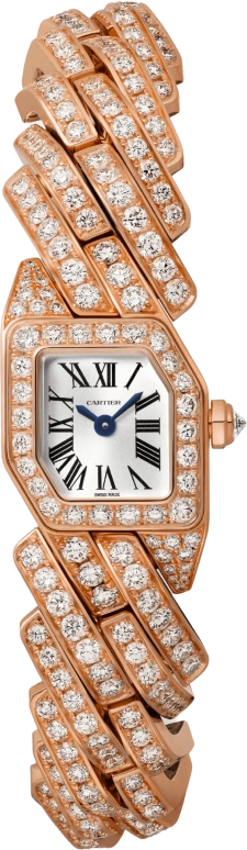 Cartier Maillon de Cartier WJBJ0004