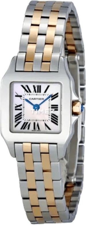 Cartier Santos de Cartier W25074Y9