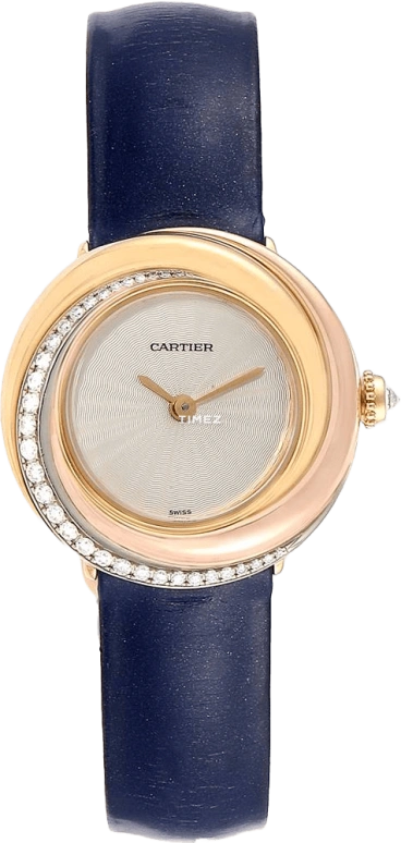 Cartier Other WG200151