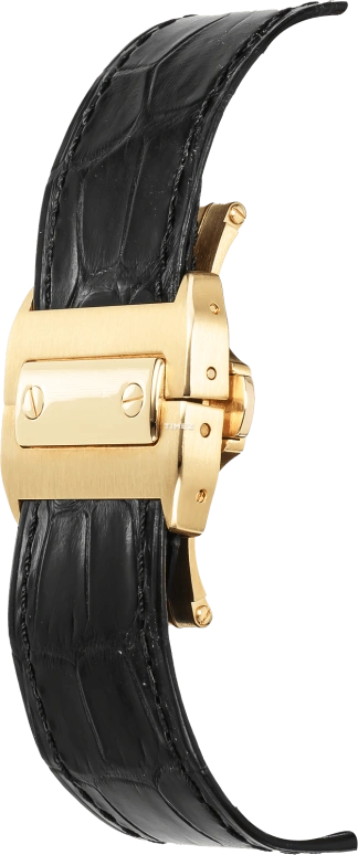 Cartier,Santos de Cartier 38mm,38mm,Yellow Gold,Gold,Automatic,Sapphire,Crystal Glass,Square,W20078Y1