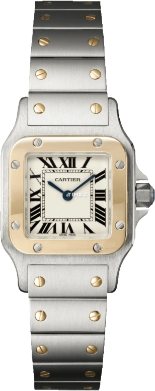 Cartier Santos de Cartier W20012C4