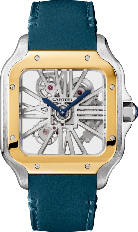 Cartier Santos de Cartier WHSA0024
