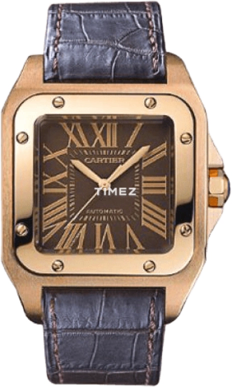 Cartier Santos de Cartier W20127Y1