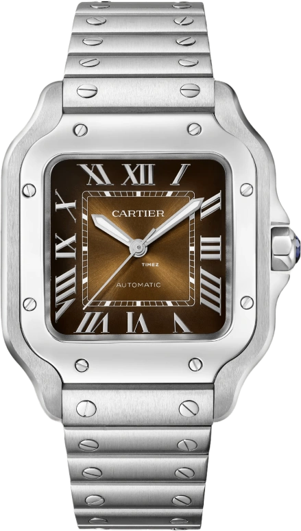 Cartier Santos de Cartier WSSA0064