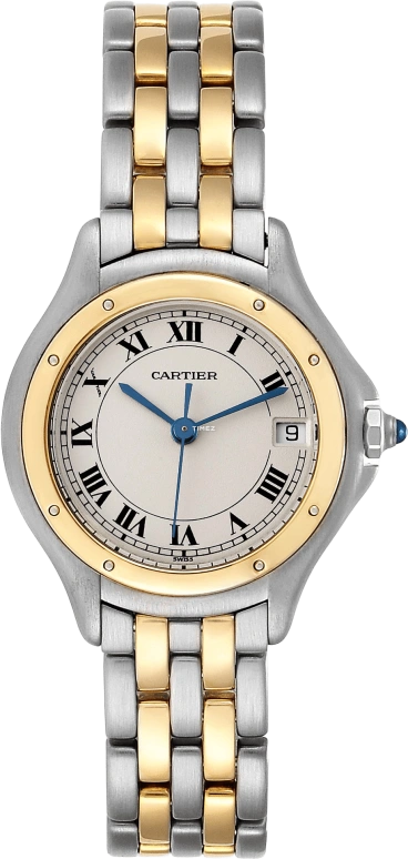 Cartier Other W35005B6