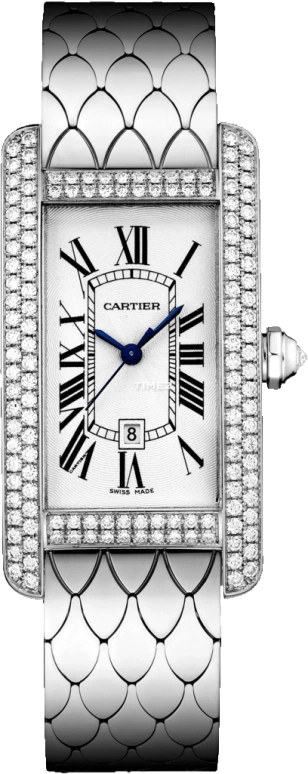 Cartier Tank WB710011