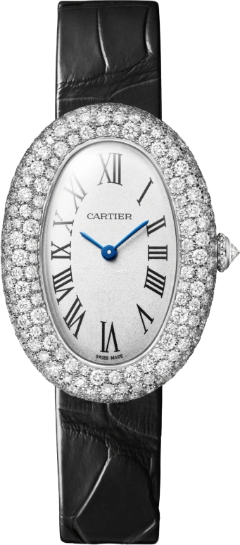 Cartier Baignoire WJBA0046
