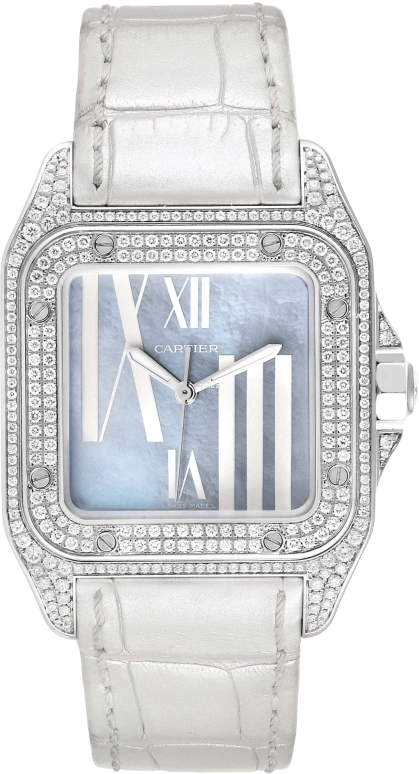 Cartier Santos de Cartier WM503251