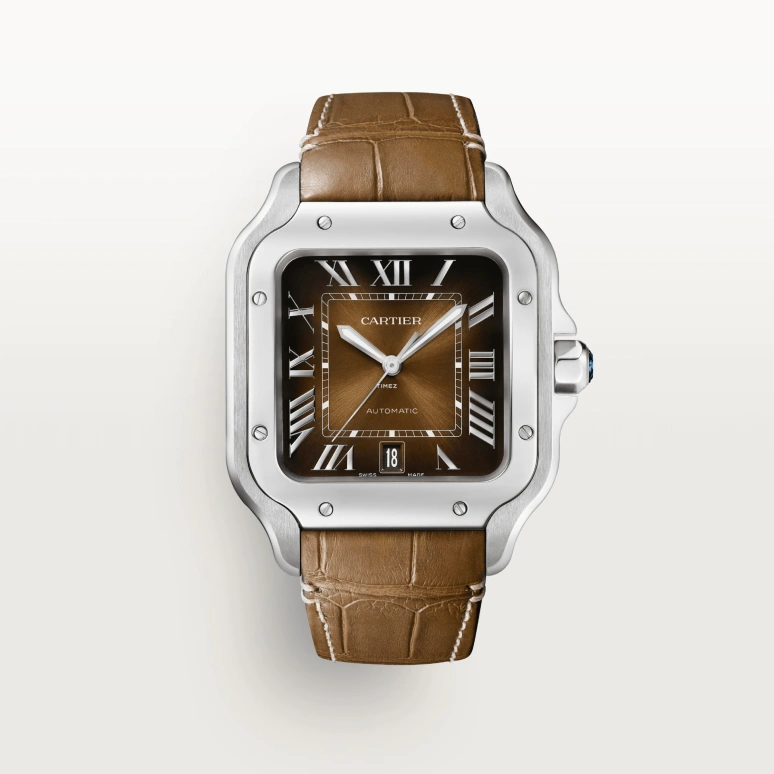 Cartier,Santos de Cartier 35.10mm,35.10mm,Stainless Steel,Brown,Gradient,Automatic,Day,Sapphire,Crystal Glass,WSSA0065