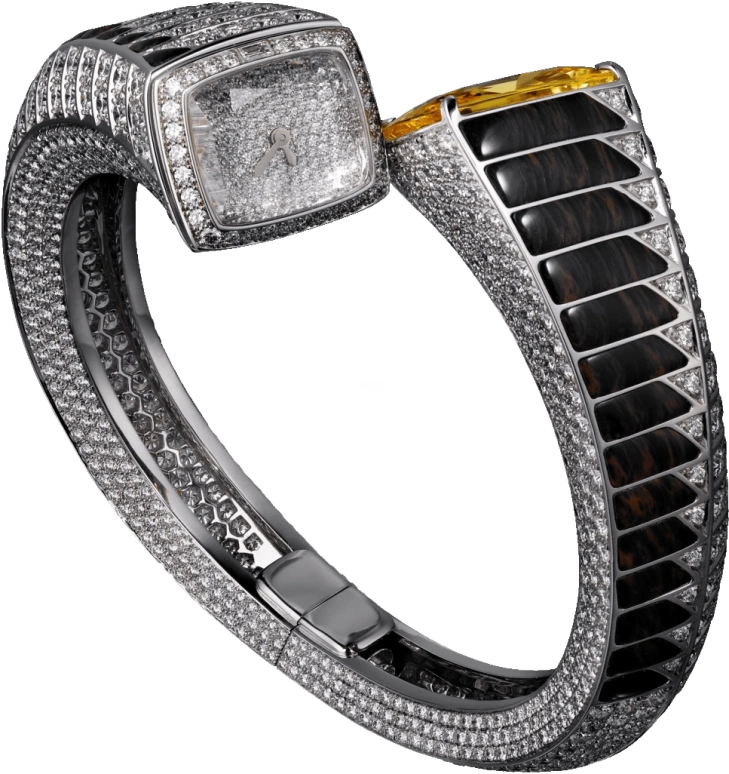 Cartier High Jewelry Watches HPI00909