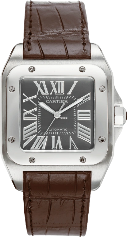 Cartier Santos de Cartier W20134X8