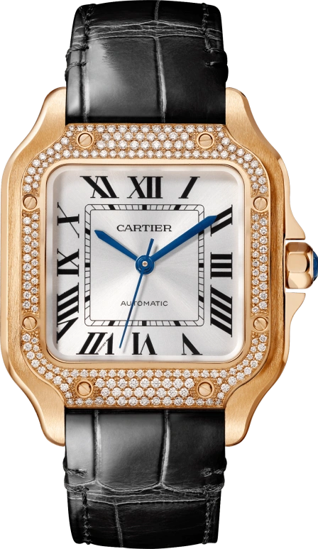 Cartier Santos de Cartier WJSA0012