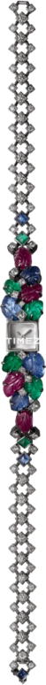 Cartier High Jewelry Watches HPI01019