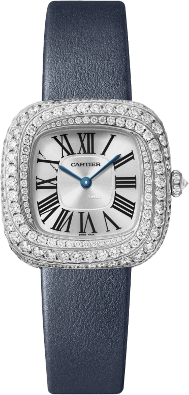 Cartier Coussin de Cartier WJCS0003