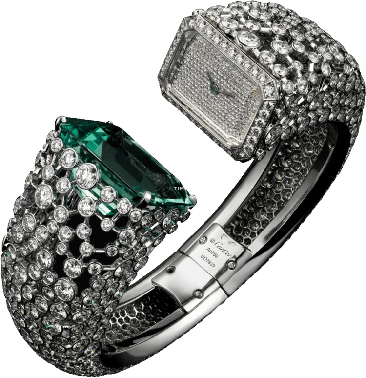 Cartier High Jewelry Watches HPI00678