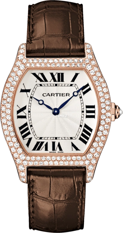 Cartier Tortue WA503951