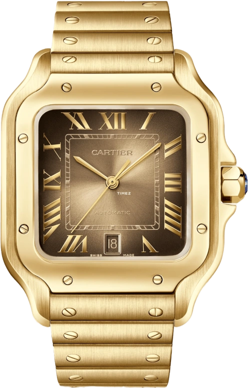 Cartier Santos de Cartier WGSA0095