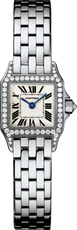 Cartier Santos de Cartier WF9005Y8