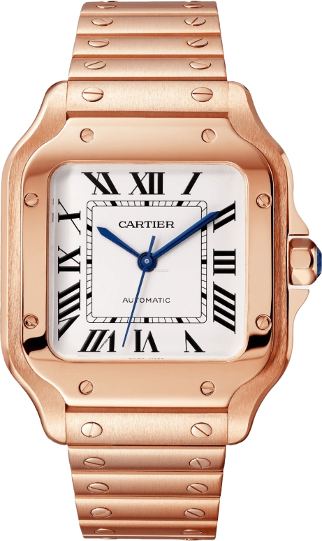 Cartier Santos de Cartier WGSA0031