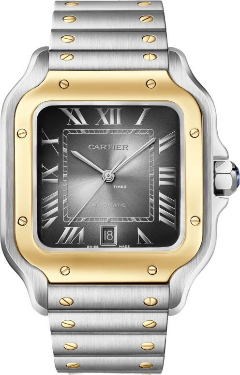 Cartier Santos de Cartier W2SA0030