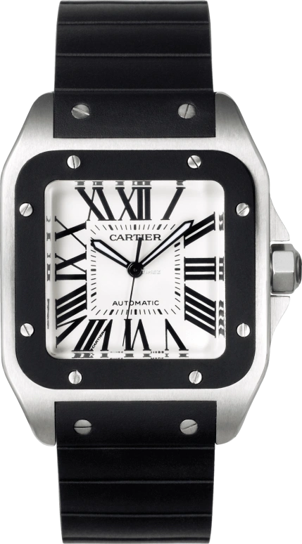 Cartier Santos de Cartier W20121U2
