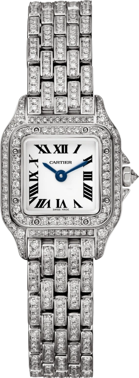 Cartier Panthère de Cartier HPI01325