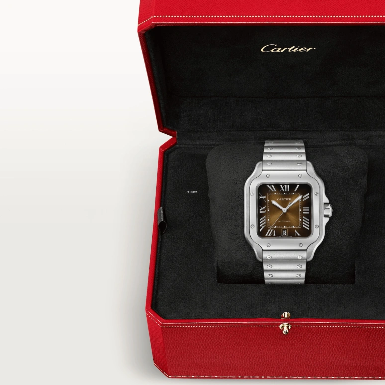 Cartier,Santos de Cartier 35.10mm,35.10mm,Stainless Steel,Brown,Gradient,Automatic,Day,Sapphire,Crystal Glass,WSSA0065