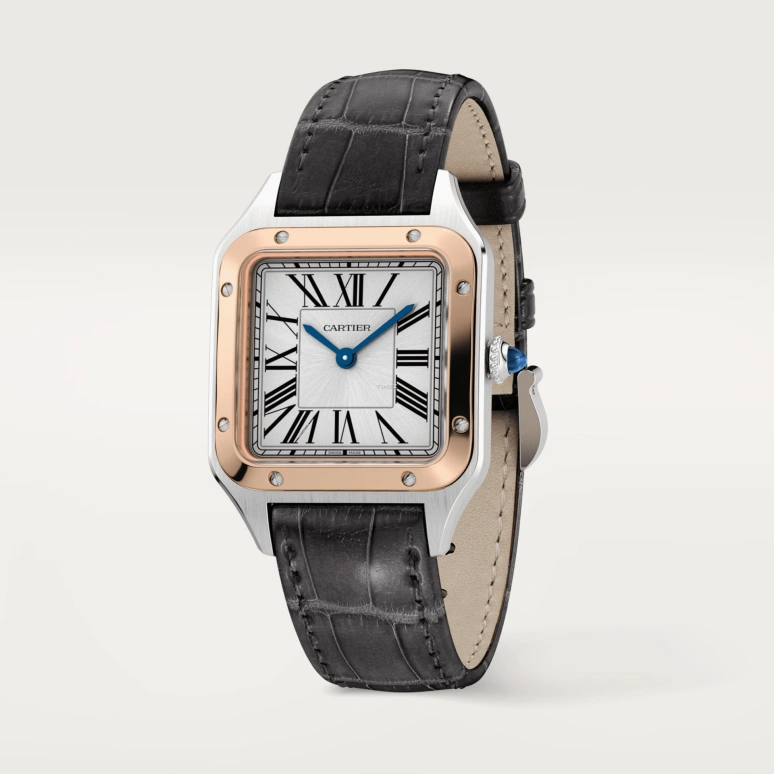 Cartier,Santos de Cartier 38x27.50mm,38x27.50mm,Stainless Steel,Silver,Quartz,Sapphire,Crystal Glass,Square,W2SA0038