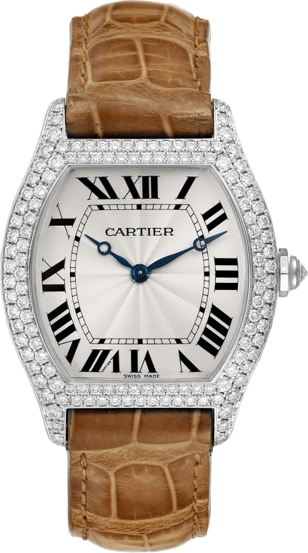 Cartier Tortue WA504351