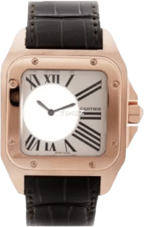 Cartier Santos de Cartier W20115Y1