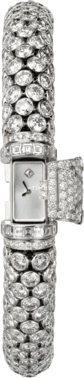 Cartier High Jewelry Watches HPI00579