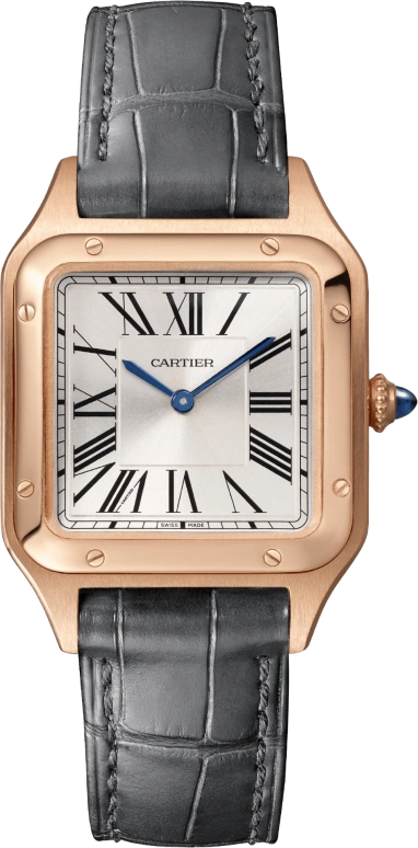 Cartier Santos de Cartier WGSA0022