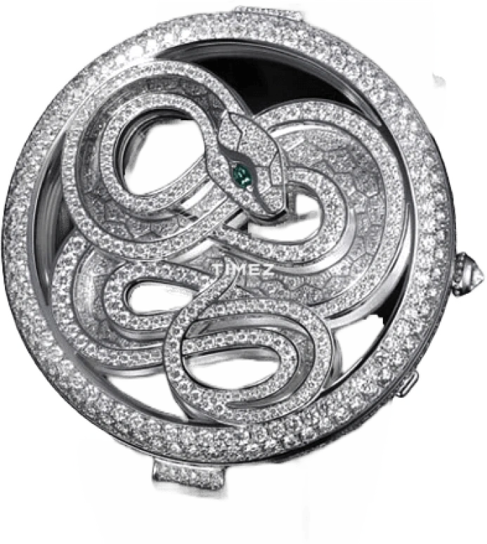 Cartier High Jewelry Watches HPI00339