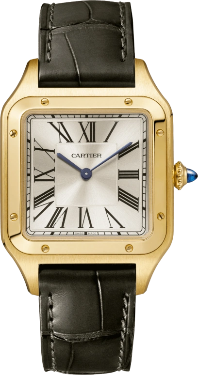 Cartier Santos de Cartier WGSA0027
