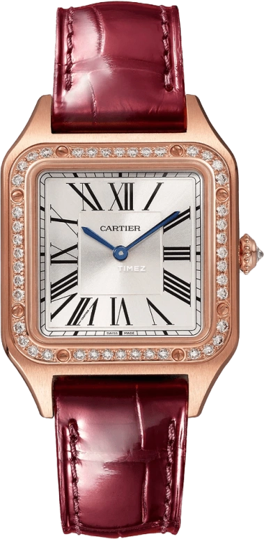 Cartier Santos de Cartier WJSA0026