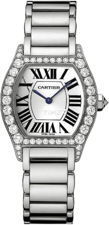 Cartier Tortue WA5072W9
