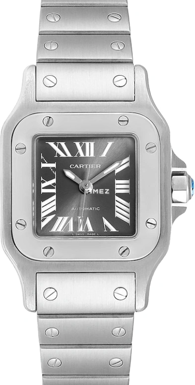 Cartier Santos de Cartier W20066D6