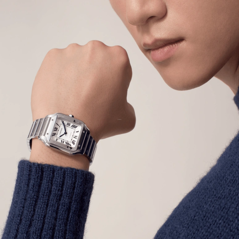 Cartier,Santos de Cartier 35.10mm,35.10mm,Stainless Steel,Silver,Automatic,42hours,In-house Caliber,WSSA0029