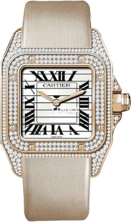 Cartier Santos de Cartier HPI00343