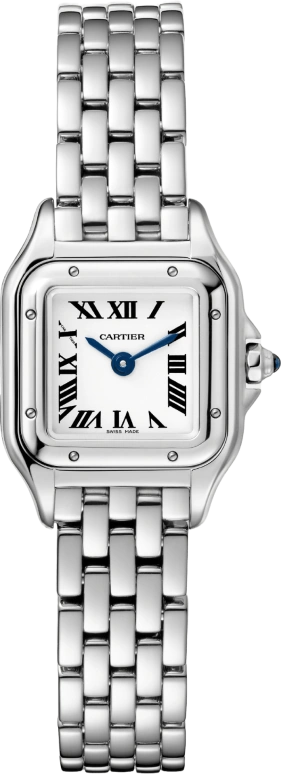 Cartier Panthère de Cartier WSPN0019