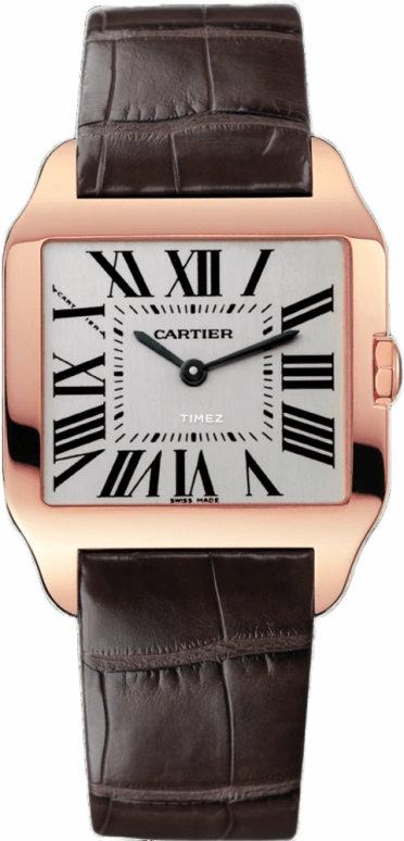 Cartier Santos de Cartier W2009251